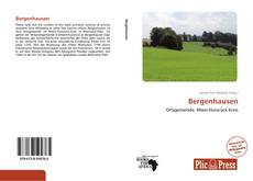 Bergenhausen kitap kapağı