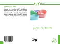 Anne de Foix-Candale的封面