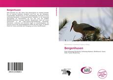 Couverture de Bergenhusen