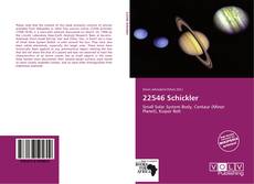 22546 Schickler kitap kapağı