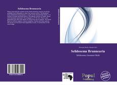 Bookcover of Selidosema Brunnearia