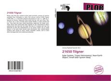 Buchcover von 21650 Tilgner