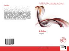 Portada del libro de Rohdea