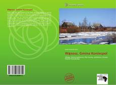 Wąsosz, Gmina Koniecpol的封面