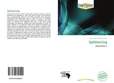 Bookcover of Splitterring