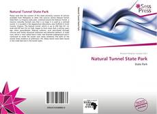 Portada del libro de Natural Tunnel State Park