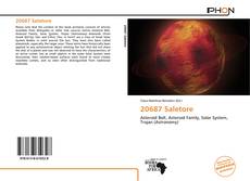 Bookcover of 20687 Saletore