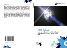 Buchcover von 2065 Spicer