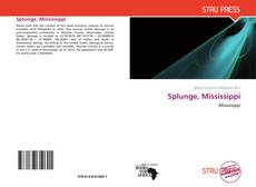 Buchcover von Splunge, Mississippi