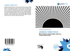 Bookcover of (30804) 1989 TO14