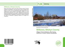 Buchcover von Wilkowo, Olsztyn County