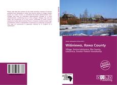 Capa do livro de Wiśniewo, Iława County 