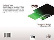 Buchcover von Selinsgrove Bridge