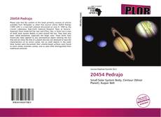 Buchcover von 20454 Pedrajo