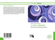 Bookcover of (11502) 1989 WU2