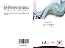 Bookcover of Spodiopogon