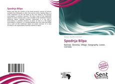 Capa do livro de Spodnja Bilpa 