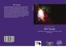 Buchcover von 2013 Tucapel