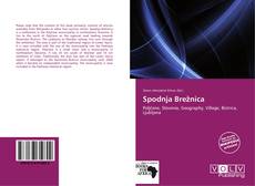 Portada del libro de Spodnja Brežnica