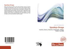 Capa do livro de Spodnja Draga 