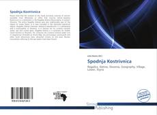 Couverture de Spodnja Kostrivnica