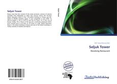 Bookcover of Seljuk Tower