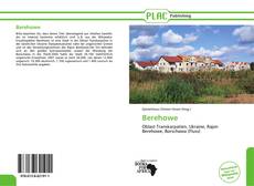 Capa do livro de Berehowe 