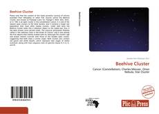 Copertina di Beehive Cluster