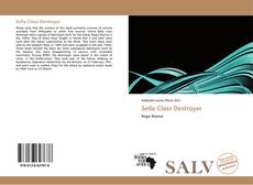 Capa do livro de Sella Class Destroyer 