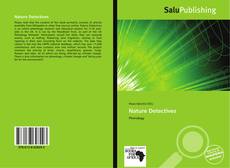 Bookcover of Nature Detectives