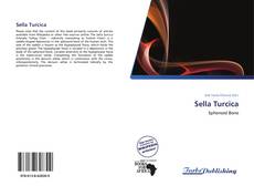 Capa do livro de Sella Turcica 