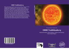 18880 Toddblumberg kitap kapağı