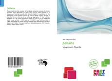 Bookcover of Sellaite