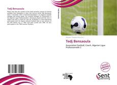 Capa do livro de Tedj Bensaoula 