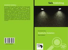 Bookcover of Anodische Oxidation