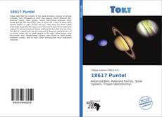 Portada del libro de 18617 Puntel