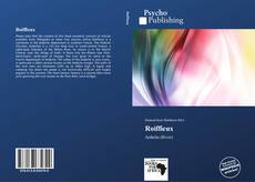 Buchcover von Roiffieux