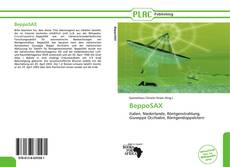 Buchcover von BeppoSAX