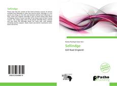 Bookcover of Sellindge