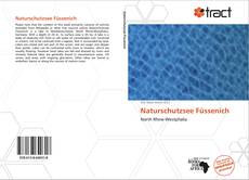 Bookcover of Naturschutzsee Füssenich