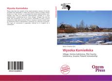 Portada del libro de Wysoka Kamieńska