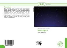 Capa do livro de Naucalpan 