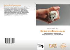 Buchcover von Berber-Streifengrasmaus