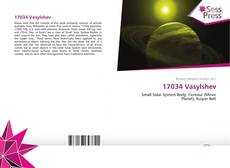 Bookcover of 17034 Vasylshev