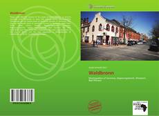 Capa do livro de Waldbronn 