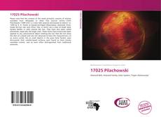 Couverture de 17025 Pilachowski