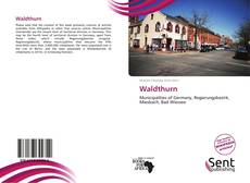 Capa do livro de Waldthurn 