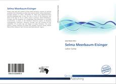 Selma Meerbaum-Eisinger的封面