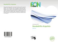 Bookcover of Naudedrillia Angulata