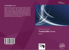 Portada del libro de Naudedrillia Cerea